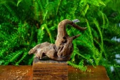 Driftwood For Moss Terrarium, Miniature, Micro Landscape,TS005 -Ncyp Garden Sale Shop IMG 9082 0ad6ede4 4f1b 40b5 a6e4 8fdafe0afaf1