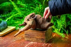 Driftwood For Moss Terrarium, Miniature, Micro Landscape,TS005 -Ncyp Garden Sale Shop IMG 9085 385914ab 7bb8 4eba ad79 9564481f7030