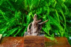 Driftwood For Moss Terrarium, Miniature, Micro Landscape,TS010 -Ncyp Garden Sale Shop IMG 9091