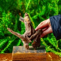 Driftwood For Moss Terrarium, Miniature, Micro Landscape,TS010