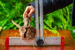 Driftwood For Moss Terrarium, Miniature, Micro Landscape,TS010 -Ncyp Garden Sale Shop IMG 9094 5b223fcf f9fd 47f3 9bb7 17af1e96de2e