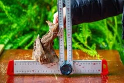 Driftwood For Moss Terrarium, Miniature, Micro Landscape,TS010 -Ncyp Garden Sale Shop IMG 9095 7575640b 1494 4656 9ca9 979994da28c3