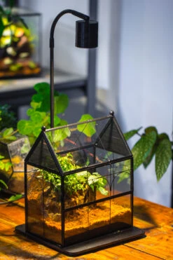 Handmade Terrarium With Light, House Shape Glass Geometric Terrarium With LED Light Set -Ncyp Garden Sale Shop IMG 9097 035a1f78 a7f3 4317 93b3 5e832b1bddb9
