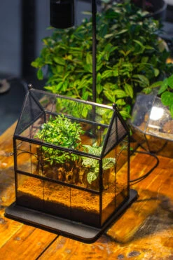 Handmade Terrarium With Light, House Shape Glass Geometric Terrarium With LED Light Set -Ncyp Garden Sale Shop IMG 9099