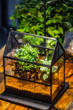 Handmade Terrarium With Light, House Shape Glass Geometric Terrarium With LED Light Set -Ncyp Garden Sale Shop IMG 9102