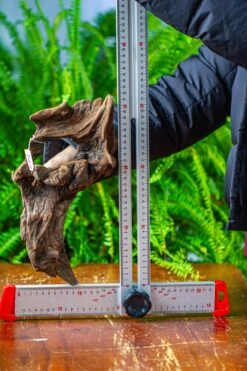 Driftwood For Moss Terrarium, Miniature, Micro Landscape,TS011 -Ncyp Garden Sale Shop IMG 9105 81de32ea 1e0b 4e34 9b75 7b18cac2b6ea