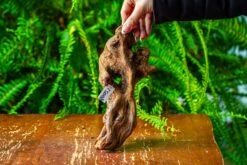 Driftwood For Moss Terrarium, Miniature, Micro Landscape,TS008 -Ncyp Garden Sale Shop IMG 9110