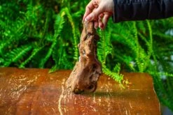 Driftwood For Moss Terrarium, Miniature, Micro Landscape,TS008 -Ncyp Garden Sale Shop IMG 9111 5f06c0ff 9556 404c 913d f126f8d72fc7