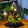 Cliff Terrarium Building DIY Set: Live Moss Cliff TearDrop Close Terrarium With Matching LED Grow Light And Base