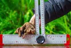 Driftwood For Moss Terrarium, Miniature, Micro Landscape,TS008 -Ncyp Garden Sale Shop IMG 9113 16a07000 5cad 4c5a 92d3 08c4256f7fdd