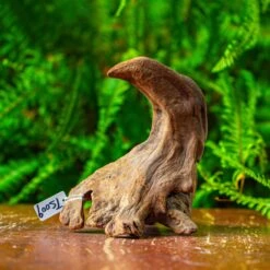 Driftwood For Moss Terrarium, Miniature, Micro Landscape,TS009