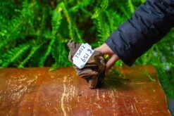 Driftwood For Moss Terrarium, Miniature, Micro Landscape,TS012 -Ncyp Garden Sale Shop IMG 9130 90ec78b8 e310 48ac 840a 1e741a581475