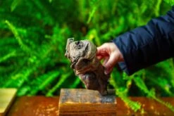 Driftwood For Moss Terrarium, Miniature, Micro Landscape,TS012 -Ncyp Garden Sale Shop IMG 9135