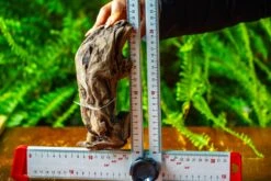 Driftwood For Moss Terrarium, Miniature, Micro Landscape,TS012 -Ncyp Garden Sale Shop IMG 9136 8099f0ae dbe7 4846 bd82 95e157cb4e0a