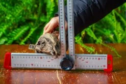Driftwood For Moss Terrarium, Miniature, Micro Landscape,TS012 -Ncyp Garden Sale Shop IMG 9137