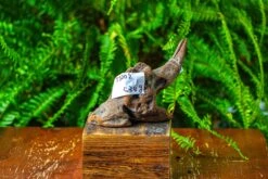 Driftwood For Moss Terrarium, Miniature, Micro Landscape,TS002 -Ncyp Garden Sale Shop IMG 9138 1ad27e27 cf89 4ca3 b4af b05194bf6f01