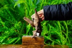 Driftwood For Moss Terrarium, Miniature, Micro Landscape,TS004 -Ncyp Garden Sale Shop IMG 9161 f48dd794 251c 40d6 9444 f6829648a7e6