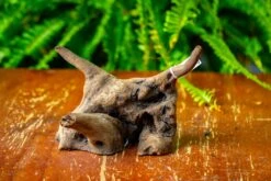 Driftwood For Moss Terrarium, Miniature, Micro Landscape,TS004 -Ncyp Garden Sale Shop IMG 9162