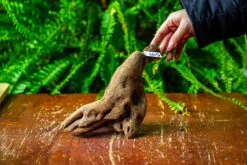 Driftwood For Moss Terrarium, Miniature, Micro Landscape,TS007 -Ncyp Garden Sale Shop IMG 9166 16bf20d4 552d 4667 86b7 92185ac6dcee