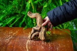 Driftwood For Moss Terrarium, Miniature, Micro Landscape,TS007 -Ncyp Garden Sale Shop IMG 9169 790eedb8 a217 4cf9 b546 e8a9499fc301