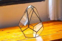 Propagation Station 13" Large Teardrop Geometric Terrarium, Close, With Door -Ncyp Garden Sale Shop IMG 9341 753ac344 543d 4dc0 94f0 9ca5c608e476