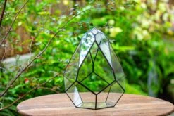 Propagation Station 13" Large Teardrop Geometric Terrarium, Close, With Door -Ncyp Garden Sale Shop IMG 9359