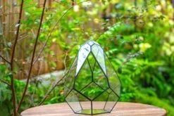 Propagation Station 13" Large Teardrop Geometric Terrarium, Close, With Door -Ncyp Garden Sale Shop IMG 9360 0200e605 c09e 4af2 861b 1e0223cf97bd