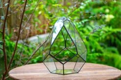 Propagation Station 13" Large Teardrop Geometric Terrarium, Close, With Door -Ncyp Garden Sale Shop IMG 9362