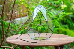 Propagation Station 13" Large Teardrop Geometric Terrarium, Close, With Door -Ncyp Garden Sale Shop IMG 9364