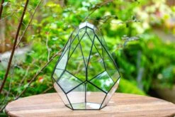 Propagation Station 13" Large Teardrop Geometric Terrarium, Close, With Door -Ncyp Garden Sale Shop IMG 9366