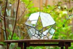 Propagation Station 13" Large Teardrop Geometric Terrarium, Close, With Door -Ncyp Garden Sale Shop IMG 9367