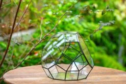 Propagation Station Glass Geometric Moon Terrarium, Close, With Door -Ncyp Garden Sale Shop IMG 9369 6169da39 312f 450b bfe2 9dc0aec0ea9d
