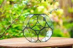 Propagation Station Glass Geometric Terrarium, 32 Face , Close, With Door, Truncated Dodecahedron -Ncyp Garden Sale Shop IMG 9393
