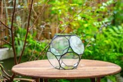 Propagation Station Glass Geometric Terrarium, 32 Face , Close, With Door, Truncated Dodecahedron -Ncyp Garden Sale Shop IMG 9394