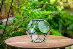 Propagation Station Glass Geometric Terrarium, 32 Face , Close, With Door, Truncated Dodecahedron -Ncyp Garden Sale Shop IMG 9396