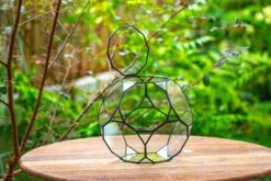 Propagation Station Glass Geometric Terrarium, 32 Face , Close, With Door, Truncated Dodecahedron -Ncyp Garden Sale Shop IMG 9398