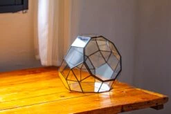 Propagation Station Glass Geometric Moon Terrarium, Close, With Door -Ncyp Garden Sale Shop IMG 9418 15a43ca0 c533 42e6 bb73 a2114295c3da