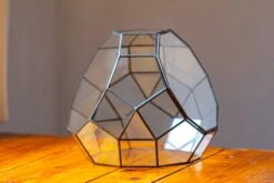 Propagation Station Glass Geometric Moon Terrarium, Close, With Door -Ncyp Garden Sale Shop IMG 9419