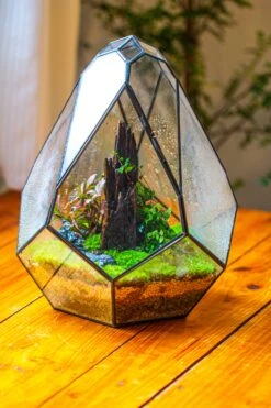 Propagation Station 13" Large Teardrop Geometric Terrarium, Close, With Door -Ncyp Garden Sale Shop IMG 9438