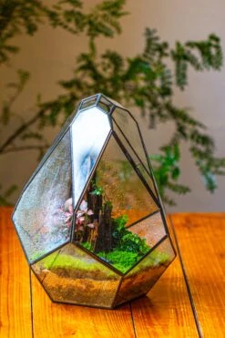 Propagation Station 13" Large Teardrop Geometric Terrarium, Close, With Door -Ncyp Garden Sale Shop IMG 9441