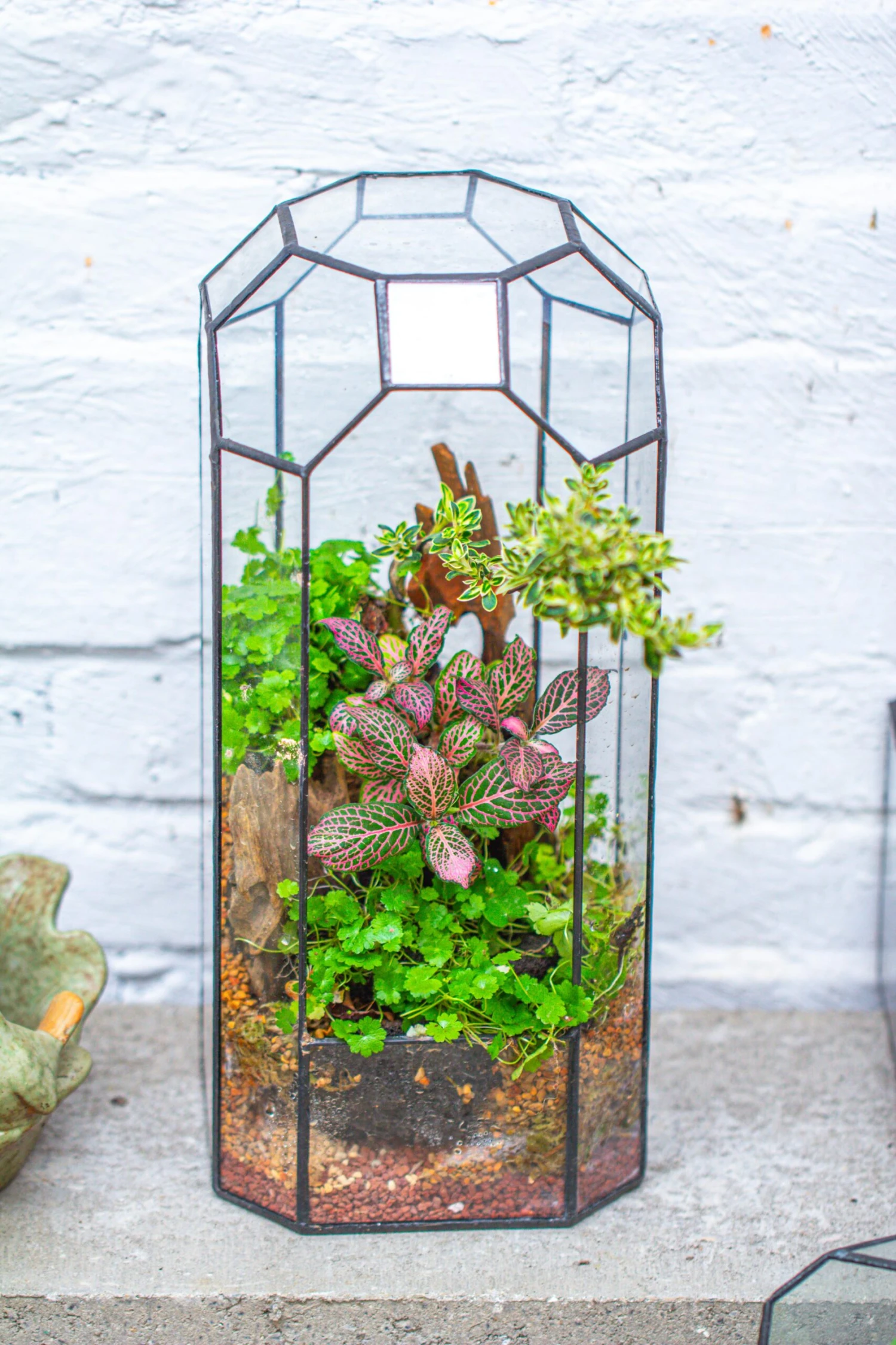 Vintage Tall Octagon Geometric Tin Glass Terrarium , 12.6" , Open, Suitable For Tall Plants, Orchid, Small Begonia Pitcher, Micro Landscape 14 Vintage Tall Octagon Geometric Tin Glass Terrarium , 12.6" , Open, Suitable For Tall Plants, Orchid, Small Begonia Pitcher, Micro Landscape - Image 14