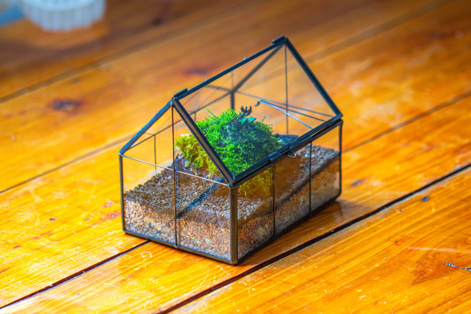 NCYP Mini Glass Terrarium With Lid House Shape Closed Planter Pot For Small Cactus, Succulents Plant 10 NCYP Mini Glass Terrarium With Lid House Shape Closed Planter Pot For Small Cactus, Succulents Plant - Image 10