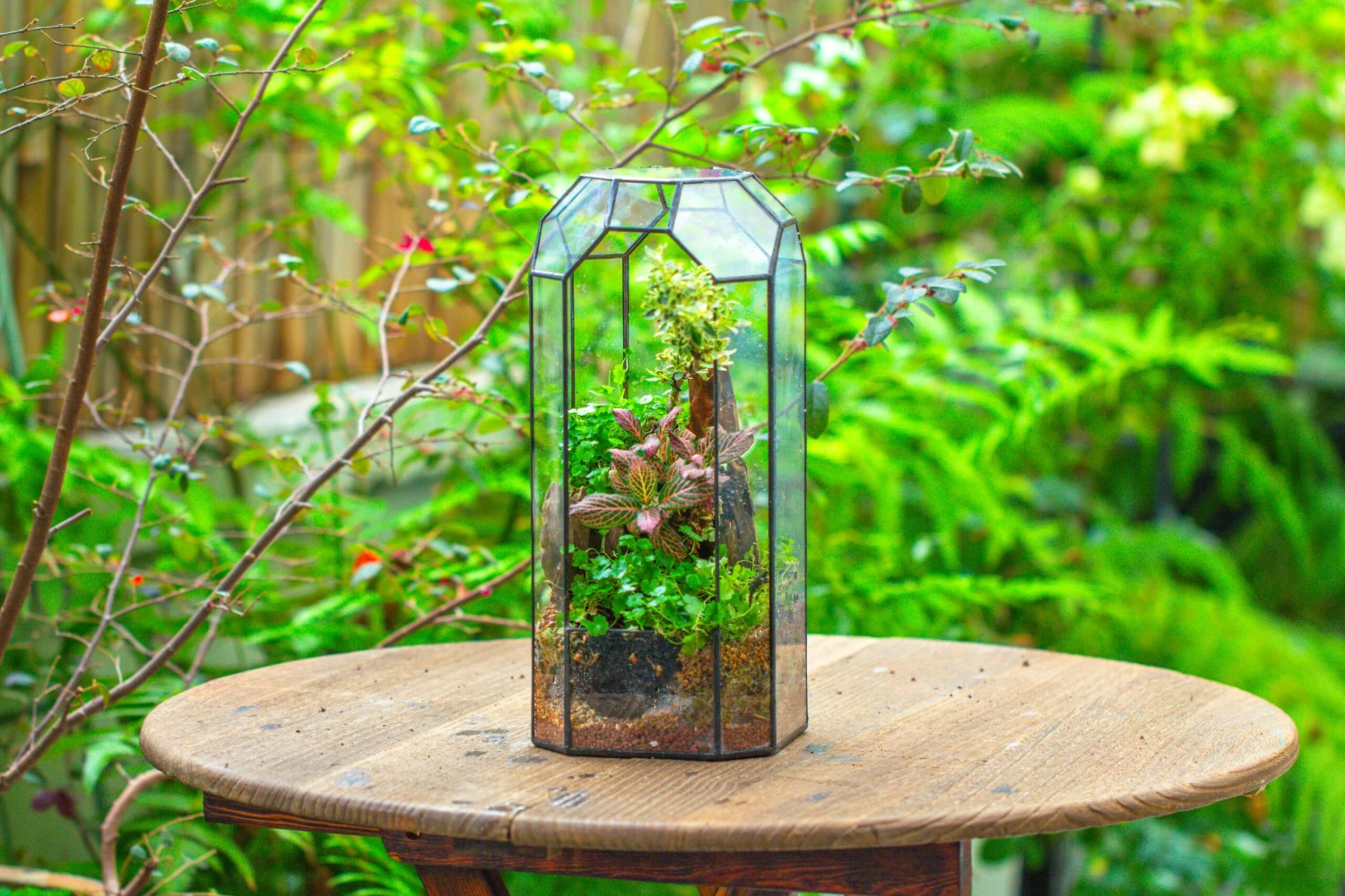 Vintage Tall Octagon Geometric Tin Glass Terrarium , 12.6" , Open, Suitable For Tall Plants, Orchid, Small Begonia Pitcher, Micro Landscape 6 Vintage Tall Octagon Geometric Tin Glass Terrarium , 12.6" , Open, Suitable For Tall Plants, Orchid, Small Begonia Pitcher, Micro Landscape - Image 6