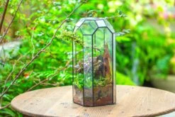 Vintage Tall Octagon Geometric Tin Glass Terrarium , 12.6" , Open, Suitable For Tall Plants, Orchid, Small Begonia Pitcher, Micro Landscape 27 Vintage Tall Octagon Geometric Tin Glass Terrarium , 12.6" , Open, Suitable For Tall Plants, Orchid, Small Begonia Pitcher, Micro Landscape -Ncyp Garden Sale Shop IMG 9793