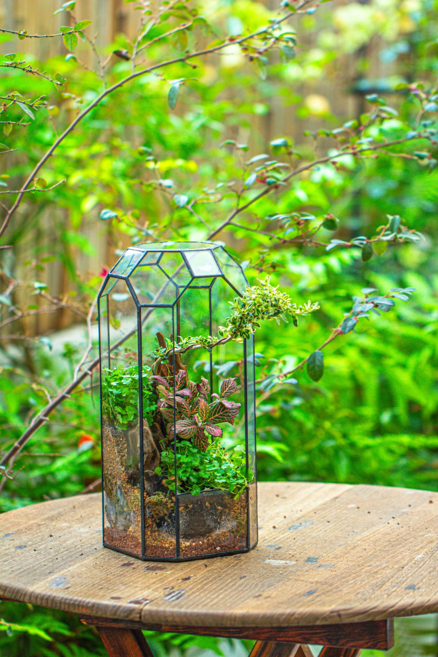 Vintage Tall Octagon Geometric Tin Glass Terrarium , 12.6" , Open, Suitable For Tall Plants, Orchid, Small Begonia Pitcher, Micro Landscape 9 Vintage Tall Octagon Geometric Tin Glass Terrarium , 12.6" , Open, Suitable For Tall Plants, Orchid, Small Begonia Pitcher, Micro Landscape - Image 9