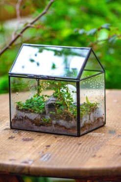 Handmade NCYP Geometric Glass Black Terrarium Box House Shape Close, Tabletop, Swing Lid For Air Plants Moss Snail Reptile Habitat -Ncyp Garden Sale Shop IMG 9983