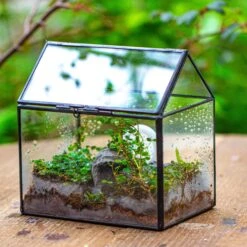 Handmade NCYP Geometric Glass Black Terrarium Box House Shape Close, Tabletop, Swing Lid For Air Plants Moss Snail Reptile Habitat