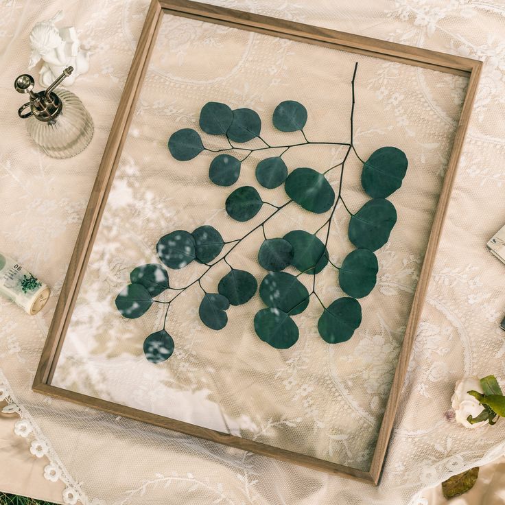 Ncyp Garden Sale Shop 40 Ncyp Garden Sale Shop -Ncyp Garden Sale Shop a1be3a1727a412d1aa439ae150f1ef7f