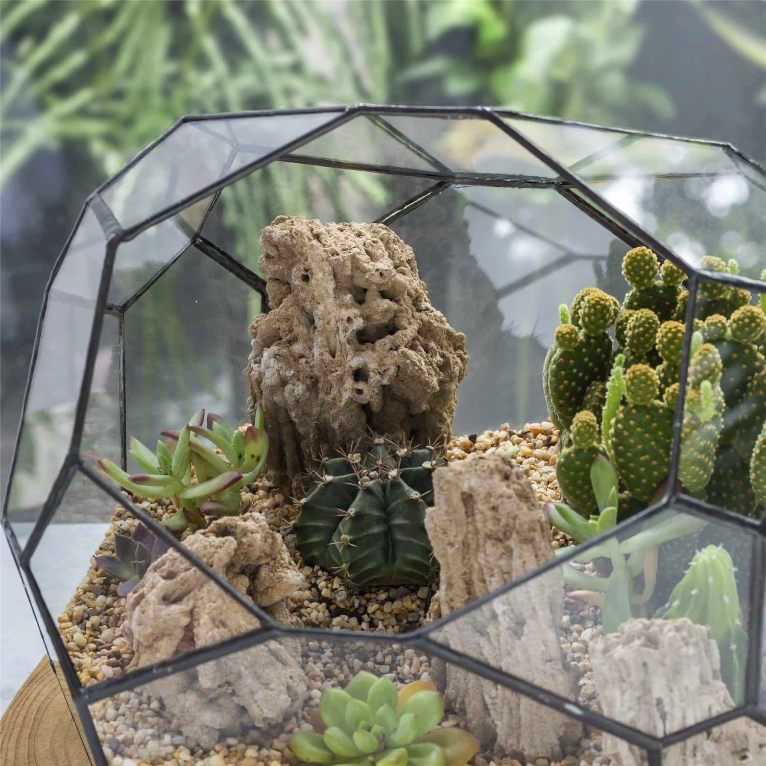 Natural Reed Tube Limestone Absorption For Landscaping Rockery Aquarium Bonsai Terrarium Succulents 2 Natural Reed Tube Limestone Absorption For Landscaping Rockery Aquarium Bonsai Terrarium Succulents - Image 2