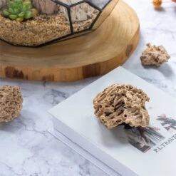 Natural Reed Tube Limestone Absorption For Landscaping Rockery Aquarium Bonsai Terrarium Succulents 11 Natural Reed Tube Limestone Absorption For Landscaping Rockery Aquarium Bonsai Terrarium Succulents -Ncyp Garden Sale Shop c180731569 2